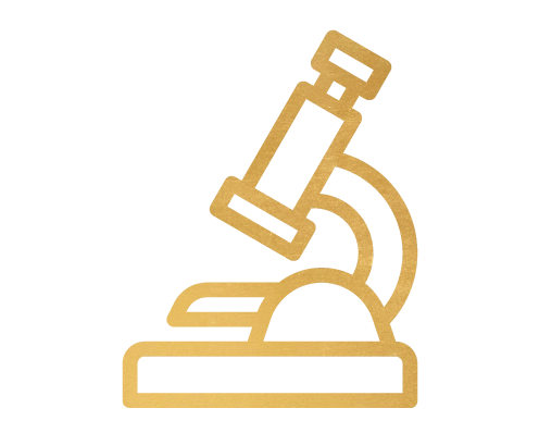 Icono innovación.png.webp