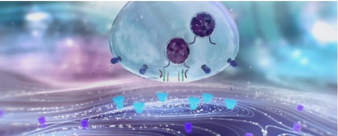 MUNAPSYS™, EL NOVEDOSO Y REVOLUCIONARIO ACTIVO ANTIEDAD BASADO EN LA NEUROCIENCIA DE INSTANTFLASH